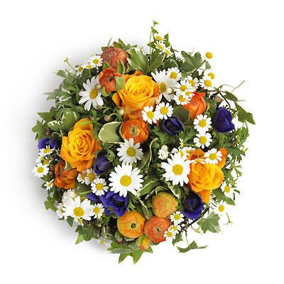 Kompozycja - Polna Łąka