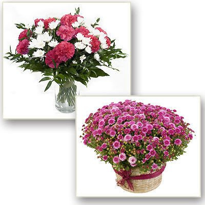 Opieka nad grobem - wersja de lux