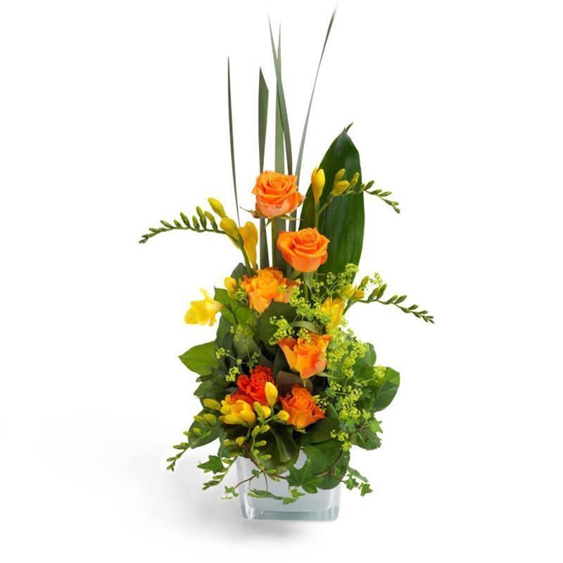 Kompozycja "Oranżeria"