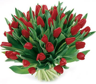 Bukiet 30 Tulipanów Czerwonych